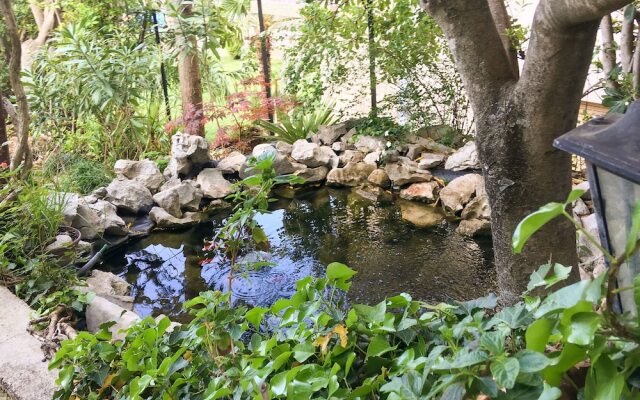 Apartments and Room Mirjana