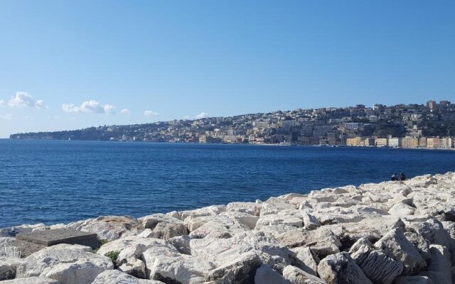 B&B Carolina Plebiscito R.