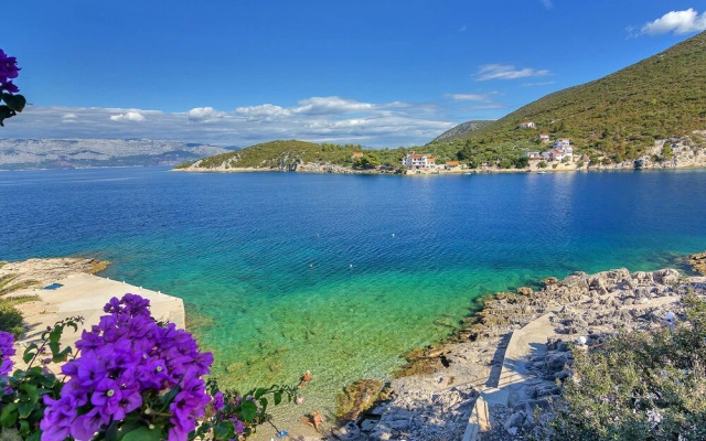 Nikola - 5 m From Beach - SAB