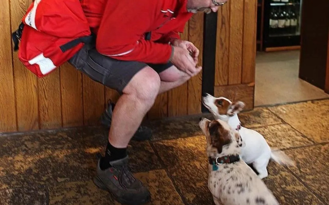 The Fleur de Lys Inn