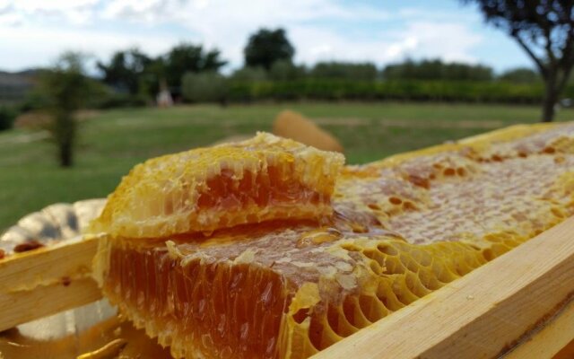 I Sicomori - Seme di Carota - Glamping e appartamenti con piscina a Saturnia