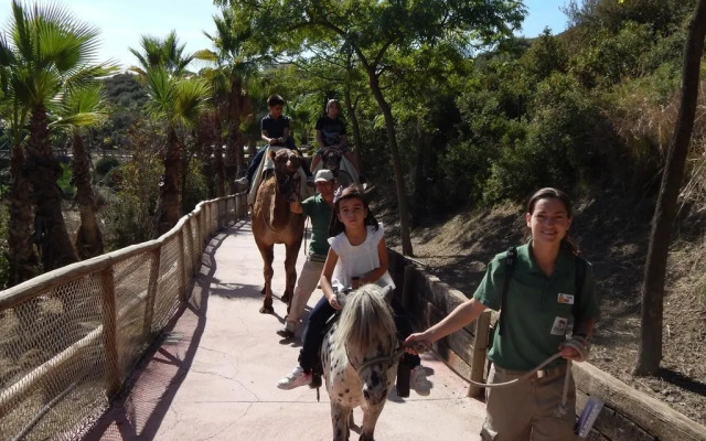 Hotel Selwo Lodge - Animal Park Tickets Included