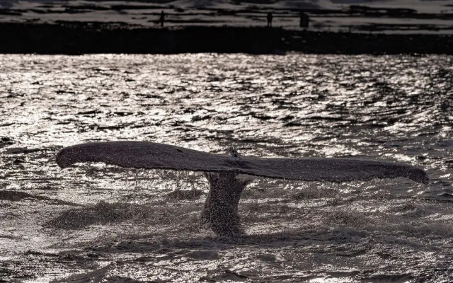 Ekker Island Arctic Lodge