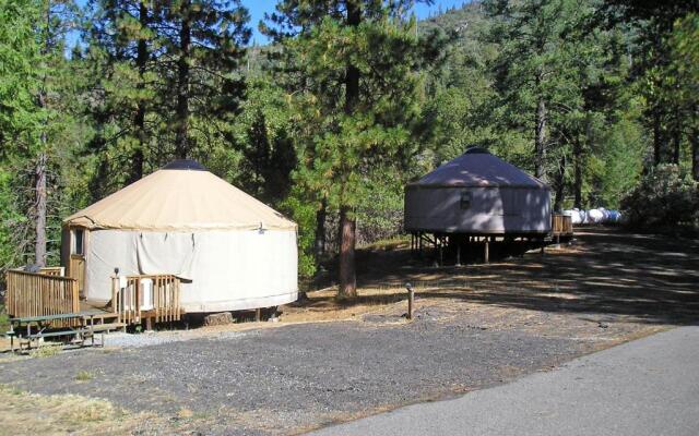 Yosemite Lakes Hillside Yurt 14