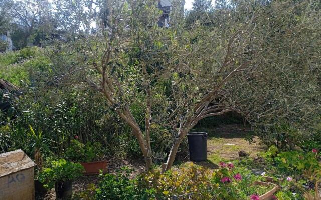 Villa Athina 3