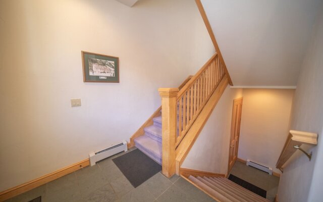 Ironwood 2993