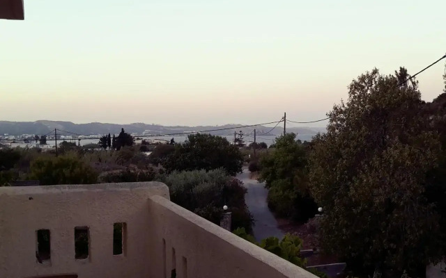 Ζini 2