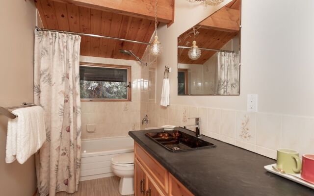 Mount Robson Mountain River Lodge