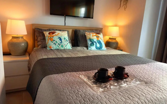 City Premium Studio Suite