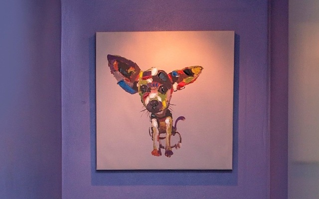 Razorback 6 - Razorback Plaza Jindabyne