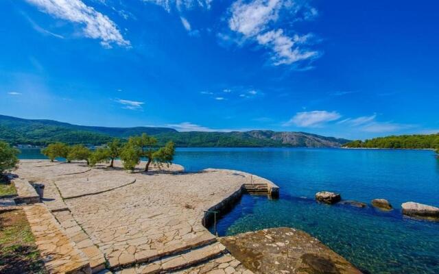 Maslina - Close to the sea - H