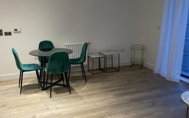 Bright 2 Bed 1 Bath in LONDON SK