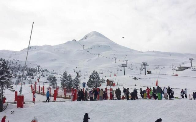 Appartement Arette, 1 pièce, 4 personnes - FR-1-602-59