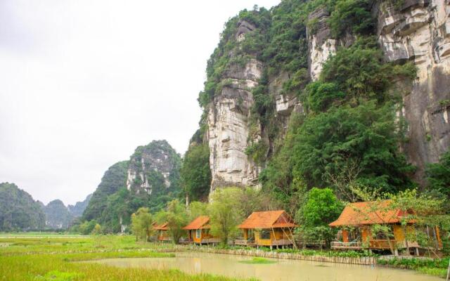 Lotus Field Homestay