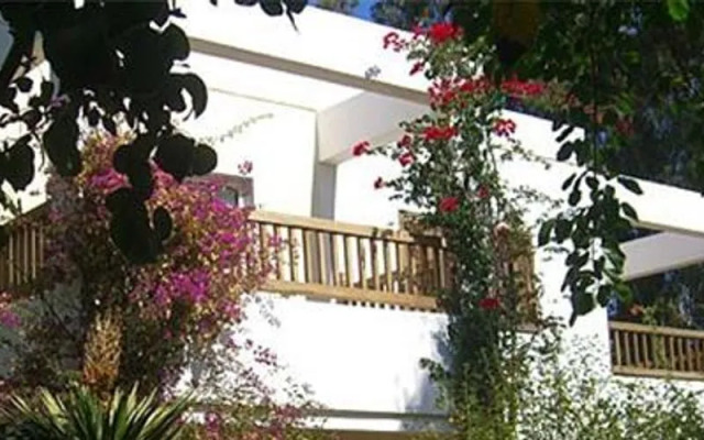 Okaliptus Hotel