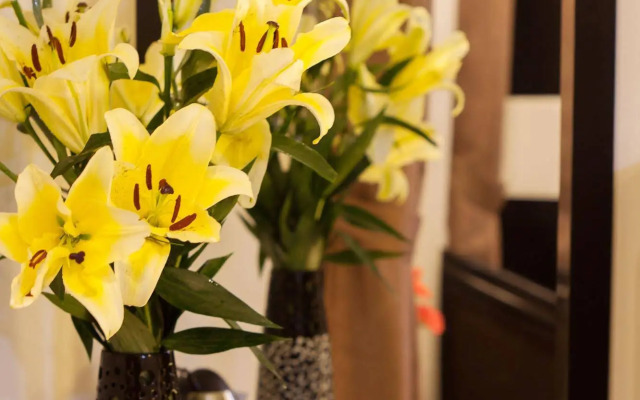 Serenity Diamond Hotel