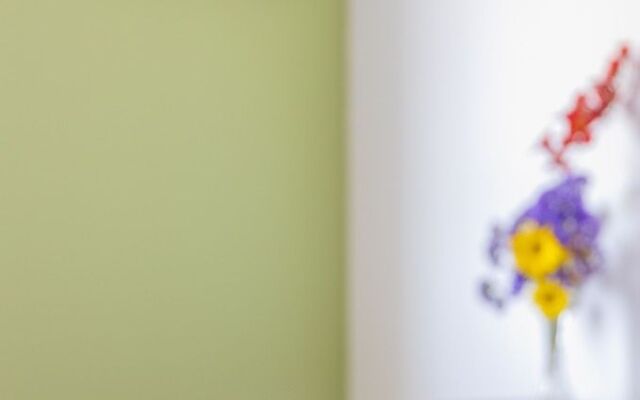 Kibbutz Gvulot Country Lodging