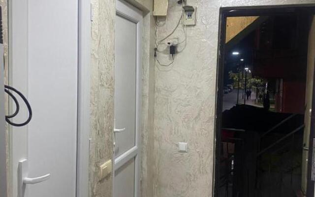 Apartment studio maksim