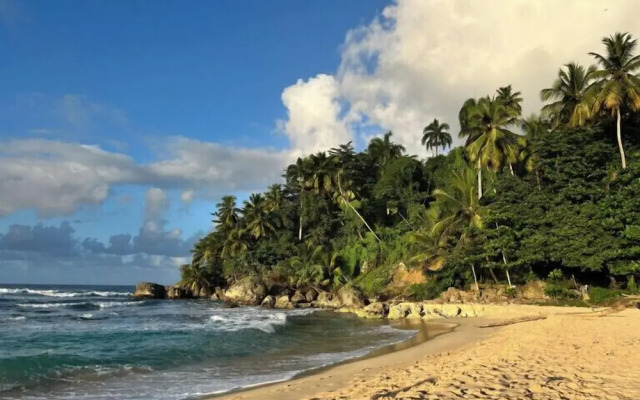 REFUGIO Sabaneta de Yásica