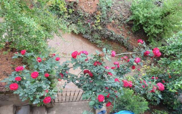 Horizon Homestay