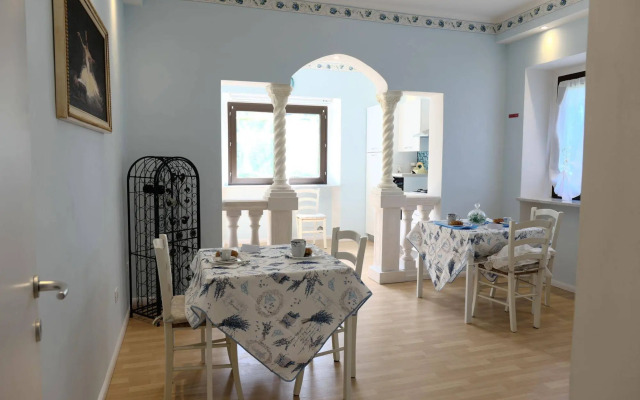 View of the vineyards