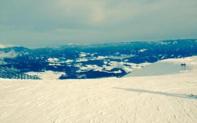 Sauschneideralm