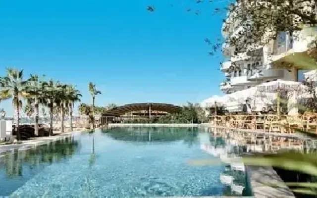 Epidamn White Sensation