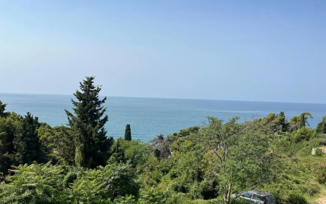 Apartment Villa Salaj