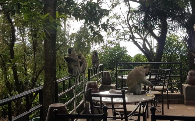 Kampala Forest Resort (KFR Lodge)