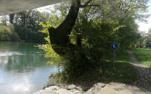 Mariposa Apartamento