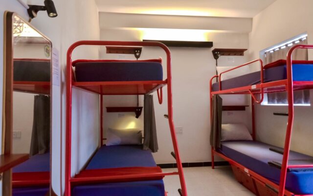 Mojzo Dorm - Hostel