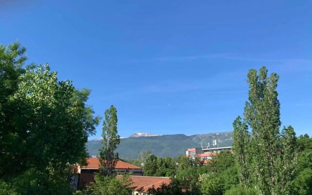 Minimalist Apartment