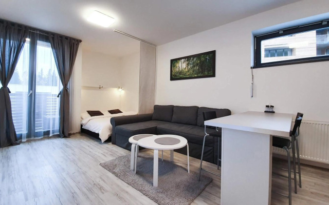 Apartment Mumlava Harrachov 1