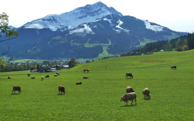 Ferienwohnungen Schneider Kirchdorf in Tirol