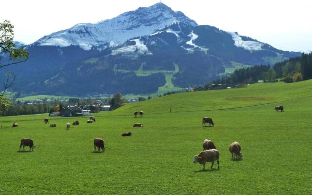 Ferienwohnungen Schneider