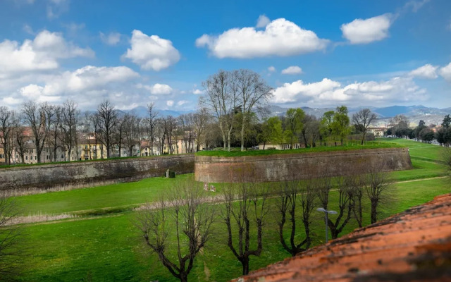 The Rooftop Penthouse