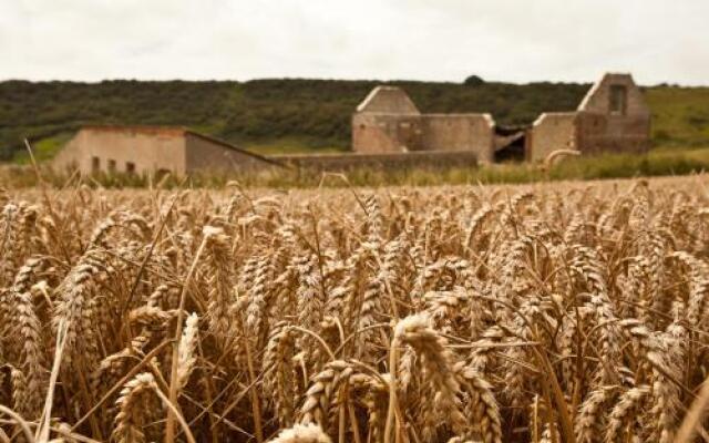 The Flint Barns