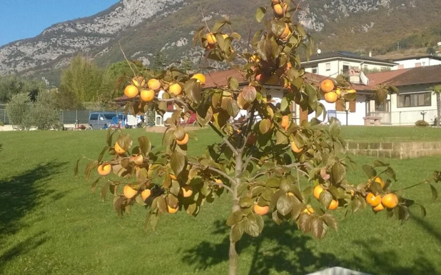 Agriturismo Trefrutti