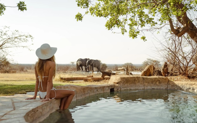 Last Word Madikwe
