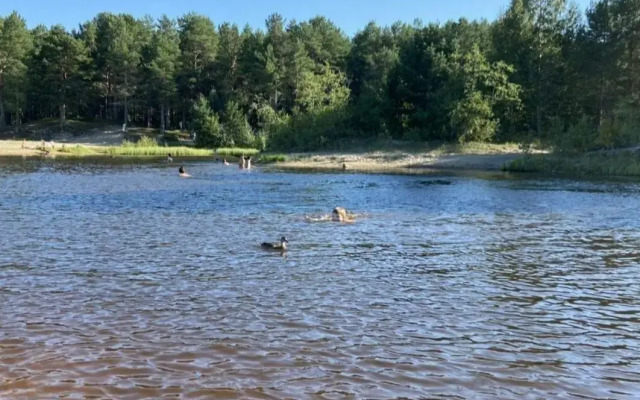 The house on Dachnaya street, 23