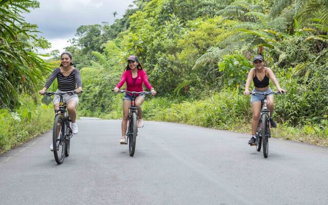 Heimatlos Rainforest Lodge
