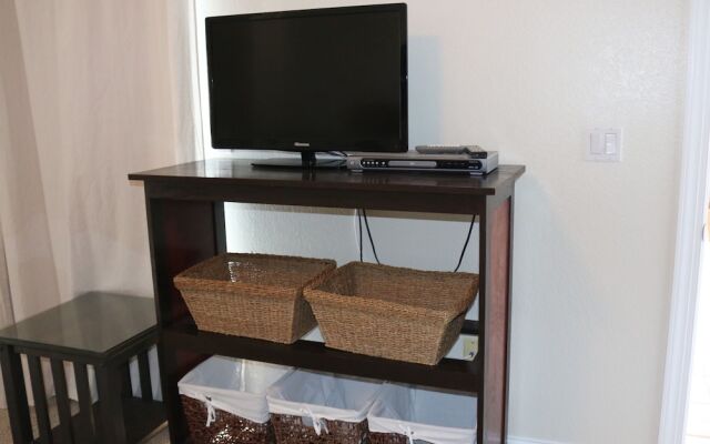 Emerald Dolphin by Surfside VR