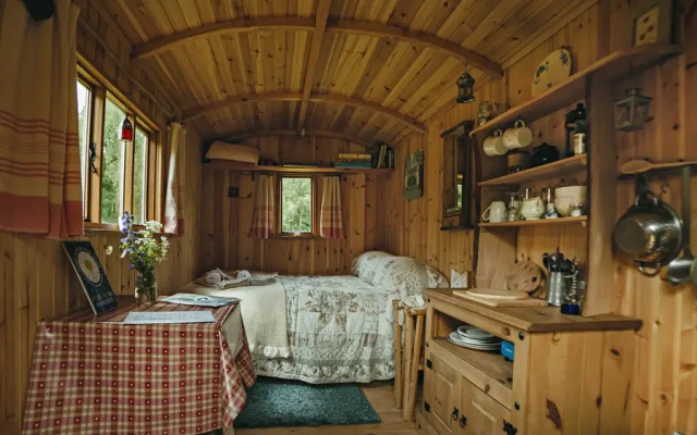Cosy Woodland off Grid Shepherds Hut - Rowan