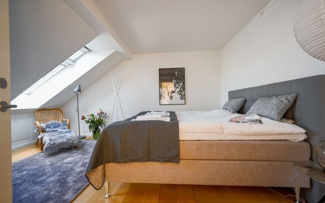 Spacious 3-bedroom Apartment With a Rooftop Terrace in the Center of Copenhagen