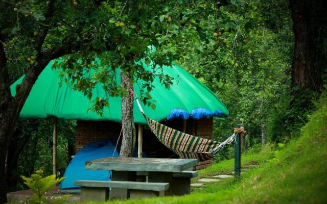 The Pear County