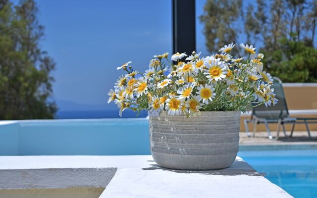 All Year in Chania