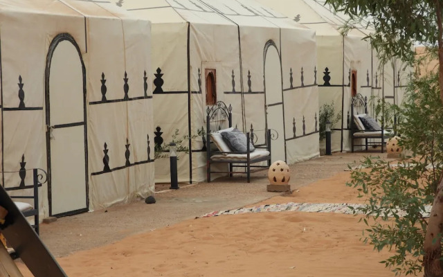 Sahara Camel Trips