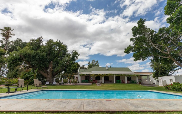 Green Olive Guesthouse