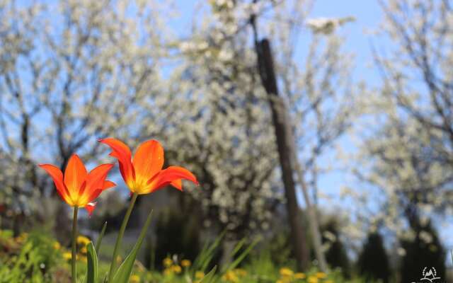 Bergkranc Hotel & Resort