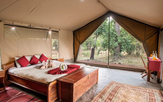 Hammerkop Migration Camp